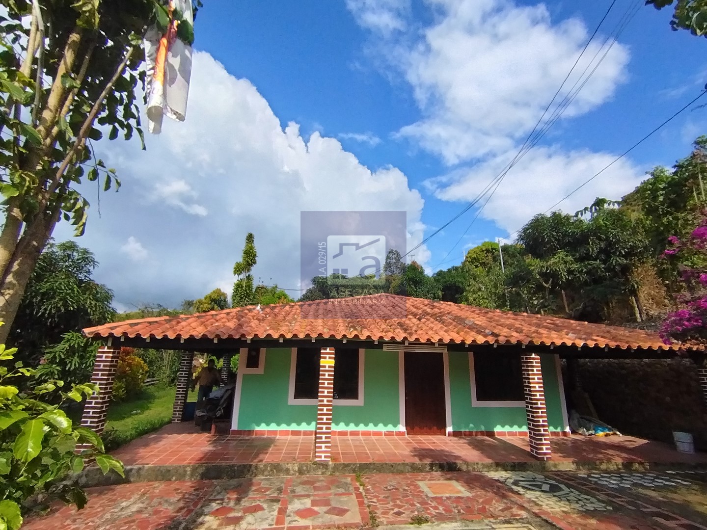 Finca en Palonegro