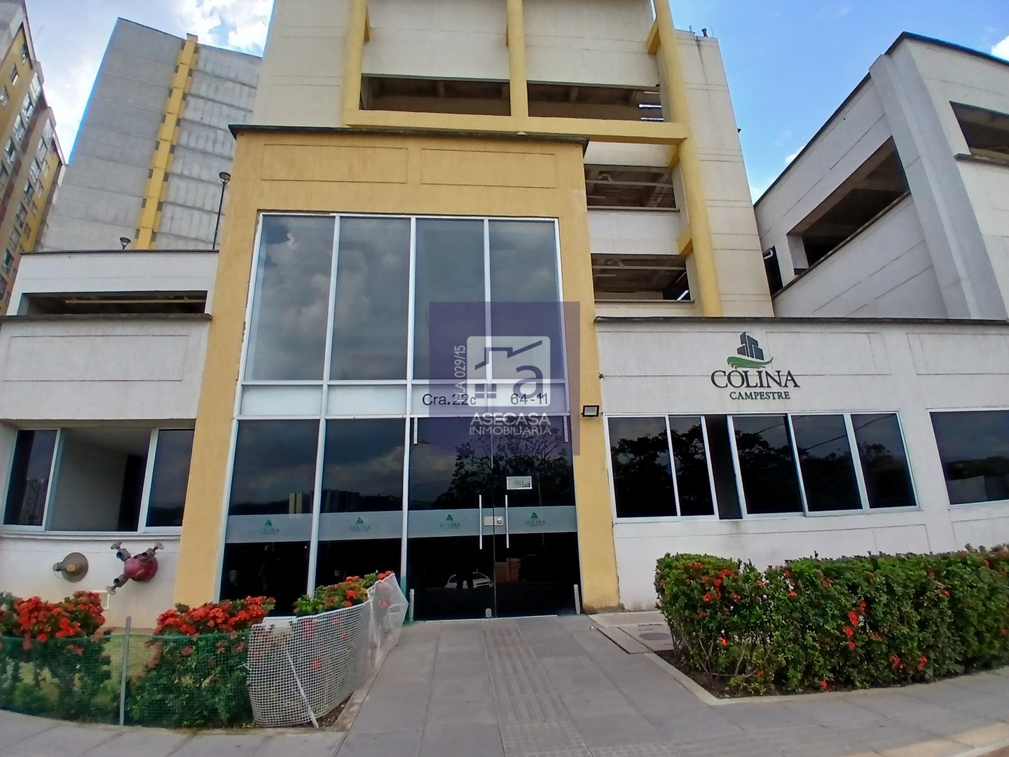 El Carrizal
