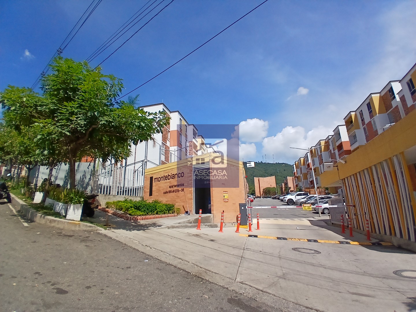El Carrizal